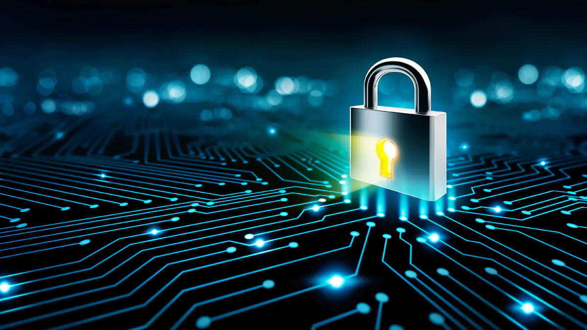 Szyfrowanie, VPN, prywatność w sieci: Jak zniknąć z internetu i chronić swoją tożsamość 3 Szyfrowanie, VPN, prywatność w sieci: Jak zniknąć z internetu i chronić swoją tożsamość